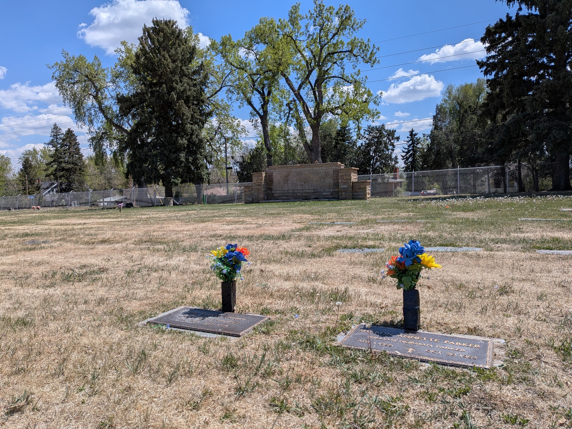 Family Plots Looking South
